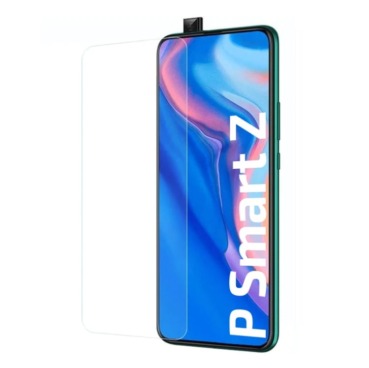 P SMART Z-min.jpg
