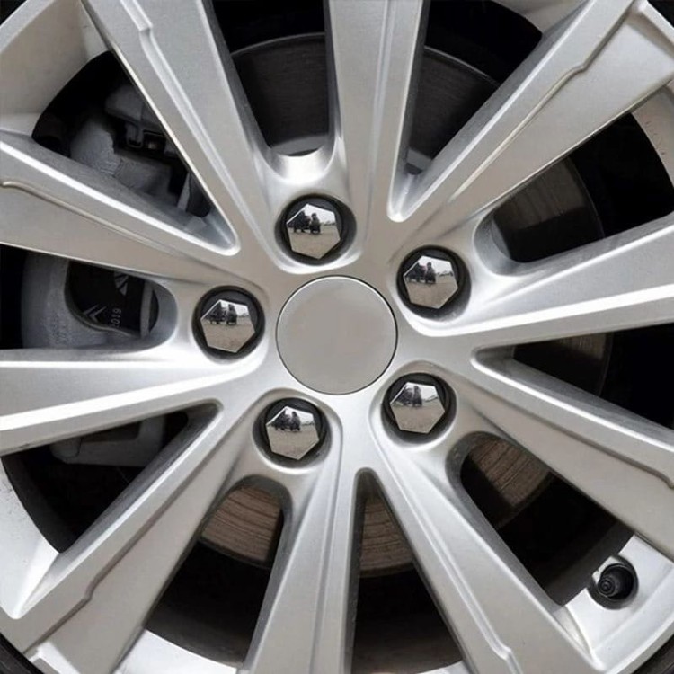 BOLT_NUT_COVER_SILVER (4)-min.jpg