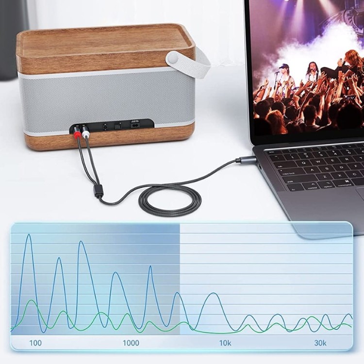 RCA-USB-C (3)-min.jpg