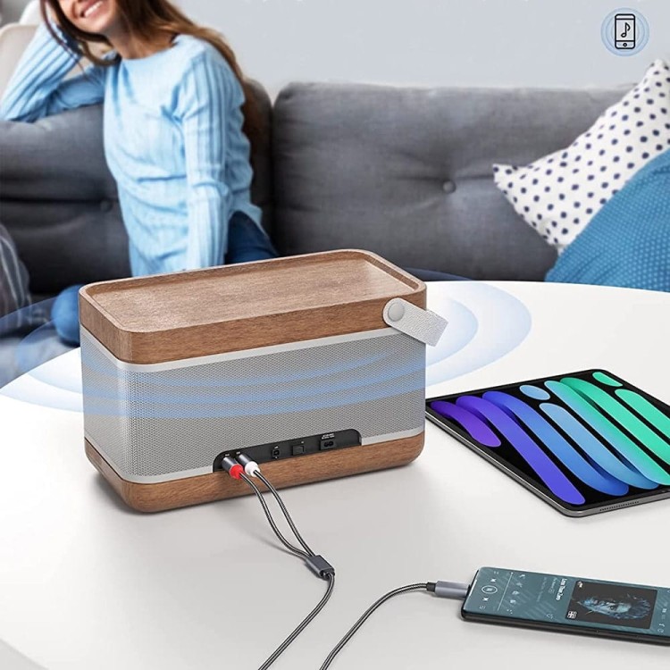 RCA-USB-C (2)-min.jpg