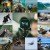 0aa6673047c791949dac5042d592.jpg