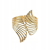 UPIECIE-do-ZASLON-FIRANEK-FIRAN-SPINKA-UPINACZ-KLAMRA-SKRZYDLA-ZLOTE-EAN-GTIN-59068.png